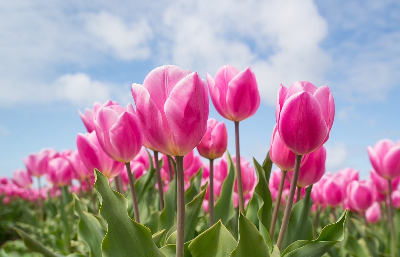 featured-image